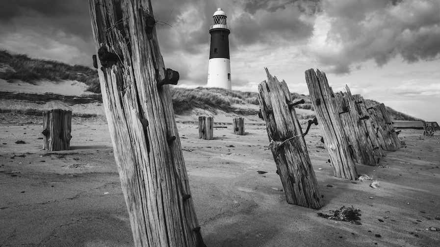 Spurn National Nature ReserveExplore the great outdoors at Spurn National Nature Reserve, a lovely green space in Kilnsea. While in this family-friendly area, you can savour the top-notch restaurants.